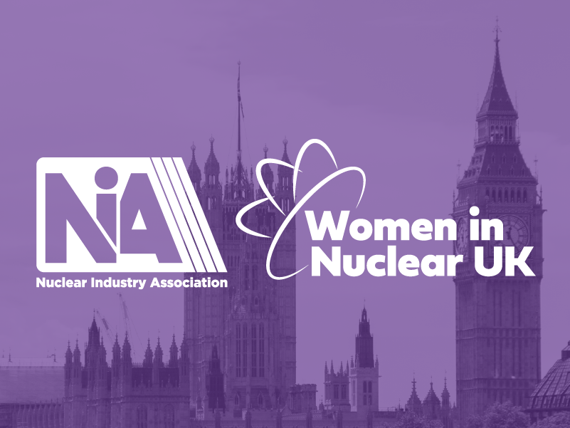 NIA & WiN UK Parliamentary Networking Event