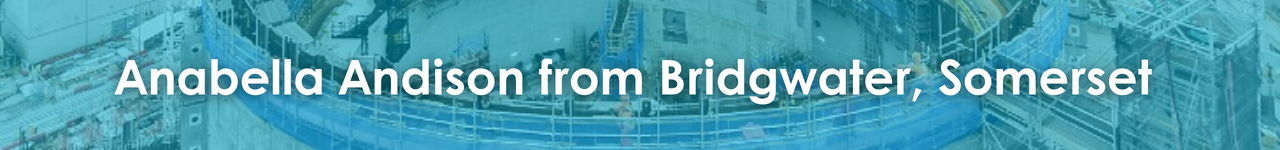 Anabella Andison from Bridgwater, Somerset 