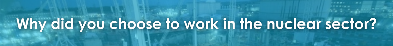 Why did you choose to work in the nuclear sector?